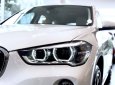 BMW X1  sDrive 2018 - BMW X1 nhập khẩu từ Đức, xe giao ngay, giá tốt nhất TP. HCM