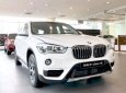 BMW X1  sDrive 2018 - BMW X1 nhập khẩu từ Đức, xe giao ngay, giá tốt nhất TP. HCM