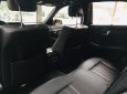 Mercedes-Benz E class e250 2013 - Bán Mercedes E250 2013, màu nâu, nội thất đen