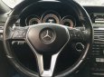 Mercedes-Benz E class e250 2013 - Bán Mercedes E250 2013, màu nâu, nội thất đen