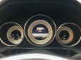 Mercedes-Benz E class e250 2013 - Bán Mercedes E250 2013, màu nâu, nội thất đen