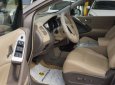 Nissan Murano SL 2008 - Bán Nissan Murano SL nhập Nhật model 2008, ĐKLĐ 2009