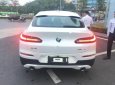 BMW X4 xDrive20i 2018 - Bán xe BMW X4 xDrive20i sản xuất 2018, màu trắng, nhập khẩu nguyên chiếc