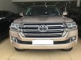 Toyota Land Cruiser VX 2016 - Cần bán lại xe Toyota Land Cruiser VX năm 2016, màu vàng, nhập khẩu nguyên chiếc, chính chủ