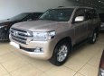 Toyota Land Cruiser VX 2016 - Cần bán lại xe Toyota Land Cruiser VX năm 2016, màu vàng, nhập khẩu nguyên chiếc, chính chủ