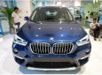 BMW X1 xLine 2018 - Bán BMW X1 tại Đà Nẵng - Xe nhập khẩu nguyên chiếc