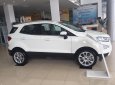 Ford EcoSport Titanium 1.0 2018 - Cần bán xe Ford EcoSport Titanium 1.0 đời 2018, màu trắng, 660 triệu. LH 0987987588