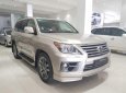 Lexus LX 2009 - Bán Lexus LX đời 2009, nhập khẩu nguyên chiếc