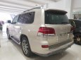 Lexus LX 2009 - Bán Lexus LX đời 2009, nhập khẩu nguyên chiếc