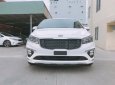 Kia Sedona Platinum D 2019 - Bán xe du lịch Kia Sedona Platinum D 2019 mới 100%