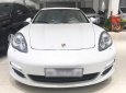 Porsche Panamera 2009 - Bán Porsche Panamera đời 2009, nhập khẩu