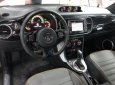 Volkswagen Beetle 2018 - Bán Volkswagen Beetle model 2018 - Xe nhập khẩu chính hãng (Xe huyền thoại)