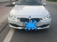 BMW 3 Series 320i 2013 - Bán xe BMW 3 Series sản xuất 2013 màu trắng, 880 triệu, nhập khẩu nguyên chiếc