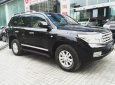 Toyota Land Cruiser VX  2010 - Bán Toyoya Landcruiser VX 2010