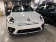 Volkswagen Beetle 2018 - Bán Volkswagen Beetle model 2018 - Xe nhập khẩu chính hãng (Xe huyền thoại)