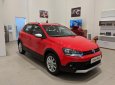 Volkswagen Polo 2018 - Bán Polo Cross Volkswagen nhập khẩu nguyên chiếc - đăng ký lái thử xe vui lòng LH 0933.689.294