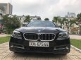 BMW 5 Series 520i 2015 - Bán xe BMW 5 Series 520i đời 2015, màu đen, nhập khẩu nguyên chiếc