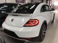 Volkswagen Beetle 2018 - Bán Volkswagen Beetle model 2018 - Xe nhập khẩu chính hãng (Xe huyền thoại)