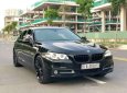 BMW 5 Series  520LCI   2017 - Cần bán xe BMW 5 Series 520LCI năm 2017, nhập khẩu nguyên chiếc  