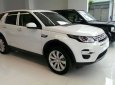 LandRover Discovery 2018 - 0929009089 - Bán LandRover Discovery Sport đời 2018, màu trắng, ưu đãi lớn trong năm