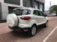 Ford EcoSport 1.5l titanium 2018 - Cần bán xe Ford EcoSport 1.5l Titanium đời 2018, màu trắng giá sock T12, hỗ trợ giao toàn quốc