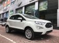 Ford EcoSport 1.5l titanium 2018 - Cần bán xe Ford EcoSport 1.5l Titanium đời 2018, màu trắng giá sock T12, hỗ trợ giao toàn quốc