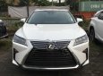 Lexus RX 350 2018 - Cần bán Lexus RX 350 năm sản xuất 2018, màu trắng, nhập khẩu