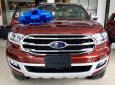 Ford Everest AT 2018 - Bán xe Ford Everest Titanium 2.0L Bi-turbo 4X4 2018