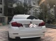 BMW 5 Series 523i 2010 - Cần bán BMW 5 Series 523i năm 2010, màu trắng, nhập khẩu, 920 triệu