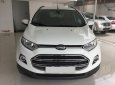 Ford EcoSport 1.5l Titanium 2016 - Bán xe Ford EcoSport 1.5L Titanium năm sản xuất 2016, hỗ trợ trả góp