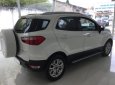 Ford EcoSport 1.5l Titanium 2016 - Bán xe Ford EcoSport 1.5L Titanium năm sản xuất 2016, hỗ trợ trả góp