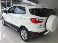 Ford EcoSport 1.5l Titanium 2016 - Bán xe Ford EcoSport 1.5L Titanium năm sản xuất 2016, hỗ trợ trả góp