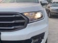 Ford Everest Ambiente MT 2.0L 4x2 2018 - Bán xe Ford Everest đời 2018, màu trắng, nhập khẩu