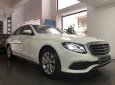 Mercedes-Benz E class 2018 - Bán Mercedes-Benz E200 2019 cũ, chính hãng, đi 50 km