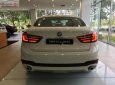 BMW X6 xDrive35i 2017 - Bán BMW X6 xDrive35i đời 2017, màu trắng, nhập khẩu