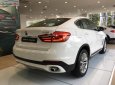 BMW X6 xDrive35i 2017 - Bán BMW X6 xDrive35i đời 2017, màu trắng, nhập khẩu