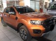 Ford Ranger Wildtrak 2.0L 4x4 AT 2018 - Bán xe Ford Ranger Wildtrak 2.0L 4x4 AT 2018, màu nâu, nhập khẩu nguyên chiếc 