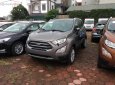 Ford EcoSport Titanium 1.5L AT 2018 - Bán xe Ford EcoSport Titanium 1.5L AT năm sản xuất 2018, màu nâu