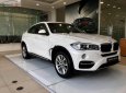 BMW X6 xDrive35i 2017 - Bán BMW X6 xDrive35i đời 2017, màu trắng, nhập khẩu