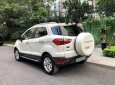 Ford EcoSport  Titanium  2014 - Cần bán xe Ford EcoSport Titanium đời 2014, màu trắng