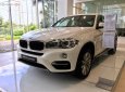 BMW X6 xDrive35i 2017 - Bán BMW X6 xDrive35i đời 2017, màu trắng, nhập khẩu