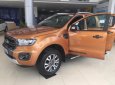 Ford Ranger wildtrak  2018 - Bán xe Ranger wildtrak 2018 tại Việt Nam giá tốt nhất thị trường 0843.557.222