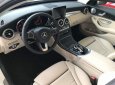 Mercedes-Benz C class C200 2015 - Cần bán Mercedes C200 2015, màu đen còn mới