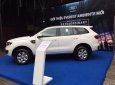 Ford Everest 2018 - Bán Ford Everest Ambient 2019 nhập khẩu chỉ từ 999 triệu và gói phụ kiện hấp dẫn, Mr Nam 0934224438 - 0963468416