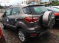 Ford EcoSport Titanium 1.5L AT 2018 - Bán xe Ford EcoSport Titanium 1.5L AT năm sản xuất 2018, màu nâu