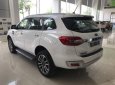 Ford Everest Ambiente MT 2.0L 4x2 2018 - Bán xe Ford Everest đời 2018, màu trắng, nhập khẩu
