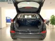 Hyundai Tucson 2018 - Bán Tucson 2.0 máy xăng, bản full màu đen, xe giao ngay, hỗ trợ vay ngân hàng