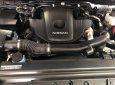 Nissan Navara  EL 2018 - Bán xe Nissan Navara EL sản xuất năm 2018, màu xám, nhập khẩu 