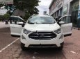 Ford EcoSport Titanium 1.0 EcoBoost 2018 - Bán xe Ford EcoSport Titanium 1.0 EcoBoost 2018, màu trắng, giá 660tr