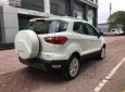 Ford EcoSport Titanium 1.0 EcoBoost 2018 - Bán xe Ford EcoSport Titanium 1.0 EcoBoost 2018, màu trắng, giá 660tr